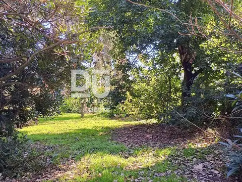 Terreno en Venta 41  mts Fondo