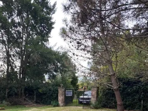 Terreno en Venta 40  mts Frente