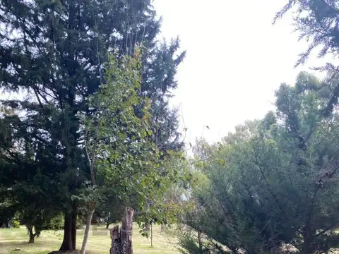 Terreno en Venta 50  mts Fondo