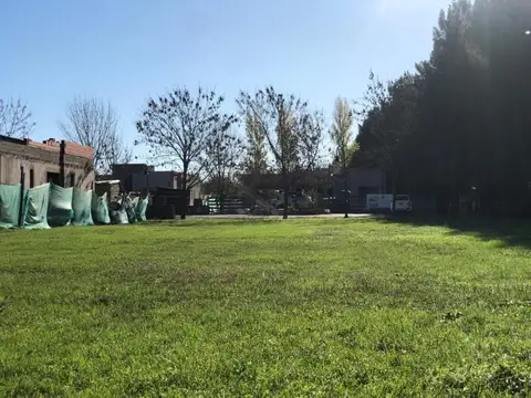 Terreno en Venta 56  mts Fondo