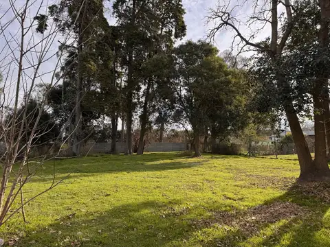 Terreno en Venta de 980,0 m2