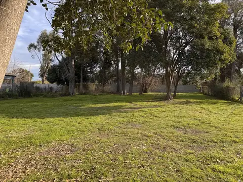 Lote arbolado en venta San Matias IMPERDIBLE