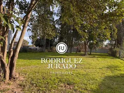 Lote arbolado en venta San Matias