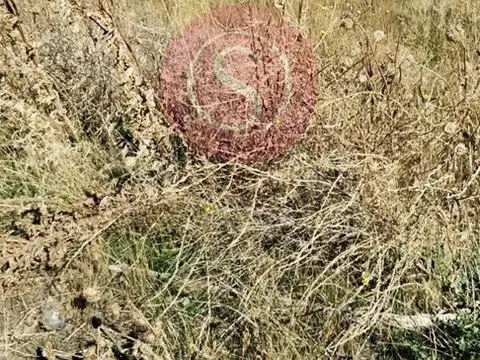 Terreno en Venta de 200,0 m2