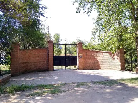 Liquidambar al 1300