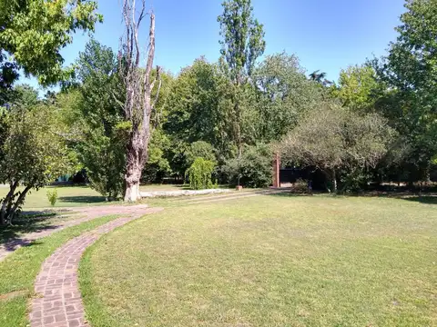 Quinta - Loma Verde