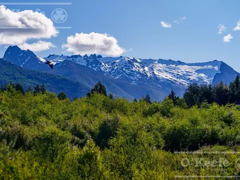 Terreno en Barrio Cerrado Entrelagos km 14