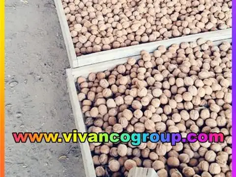 Campo en Venta de 20  ha