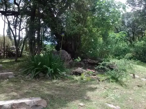 Casa en Venta 14 años