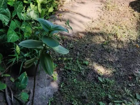 Venta - Casa a reciclar de dos dormitorios y cocheras en Fisherton, Rosario