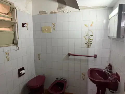 José Ingenieros 900