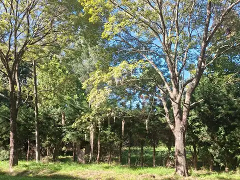 Terreno en Venta de 660,0 m2