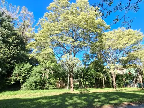 TERRENO EN FUNES