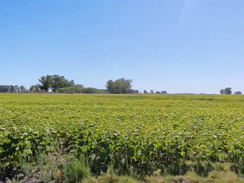 CAMPO EN VENTA – 816 HECTÁREAS