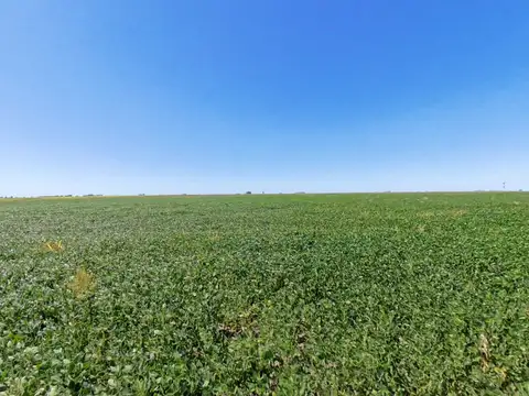 CAMPO EN VENTA – 816 HECTÁREAS