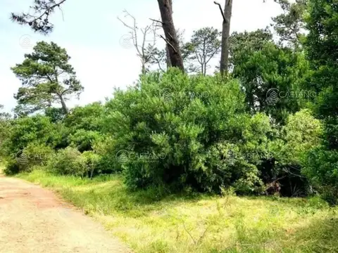 Venta terreno ocean park