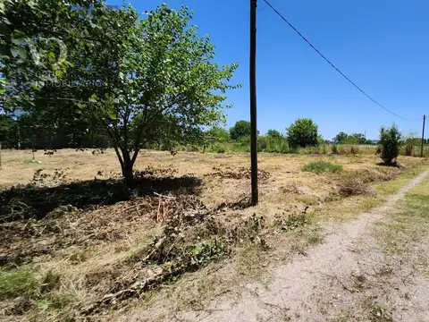 Terreno en Joaquin Gorina