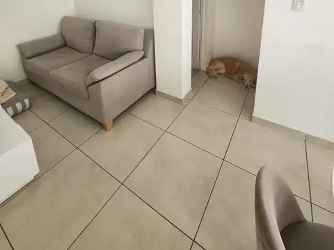 Bahia Blanca 10 , Piso 7