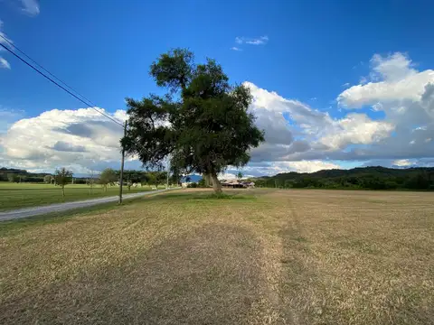 VENTA LOTE EN CLUB DE CAMPO LAS CORTADERAS- TAPIA