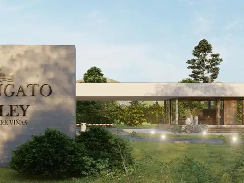 Terreno en Venta en Tupungato, Mendoza