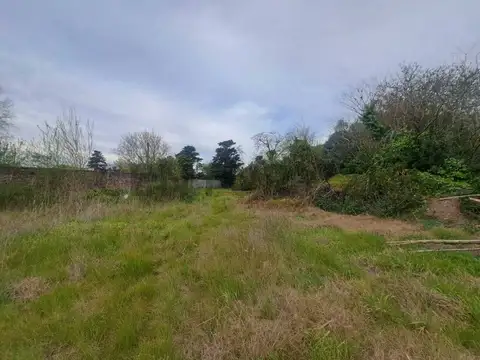 Terreno en Venta 22  mts Fondo