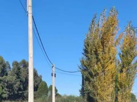 Alvear y 140