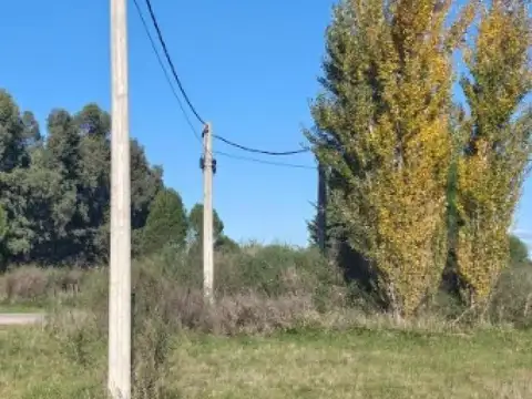 Alvear y 140