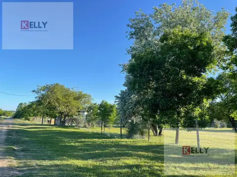 Lote en Venta en Manzanares – 2.800 m² Forestados con Excelente Acceso y Escritura Pública