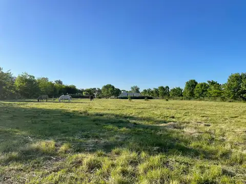 Terreno en Venta 40  mts Frente