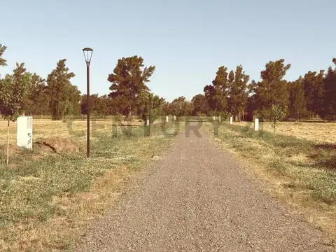 Terreno en Venta en Arana, Partido de La Plata