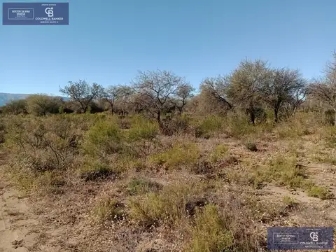 Terreno en venta  en Carpinteria san luis