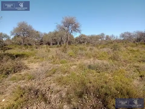 Terreno en Venta 100  mts Fondo