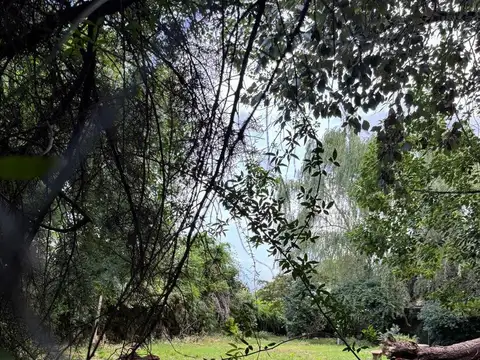 Terreno en Venta 20  mts Frente