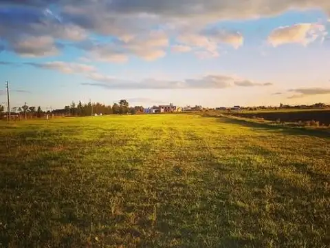 Terreno en Venta 61  mts Fondo