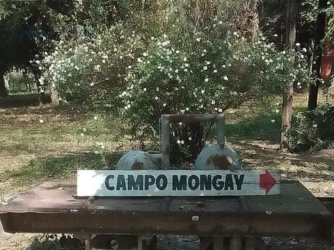 Estancia histórica Mongay de 3.672 ha en Las Palmas, Chaco
