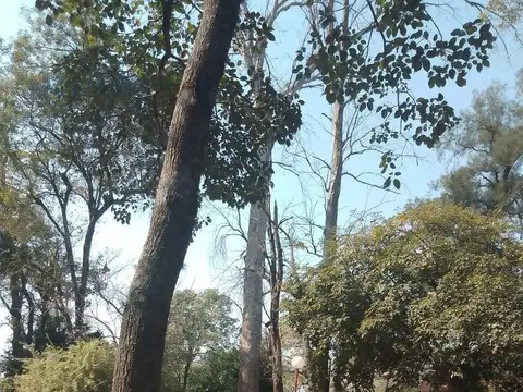 Estancia histórica Mongay de 3.672 ha en Las Palmas, Chaco
