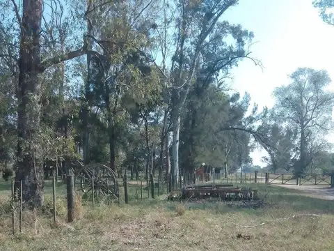 Estancia histórica Mongay de 3.672 ha en Las Palmas, Chaco
