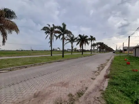 Terreno en Venta 24  mts Fondo