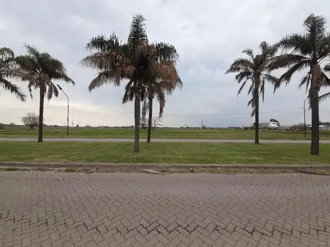 Terreno en Venta 12  mts Frente