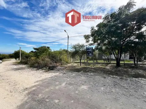 Terreno en Venta 39  mts Fondo
