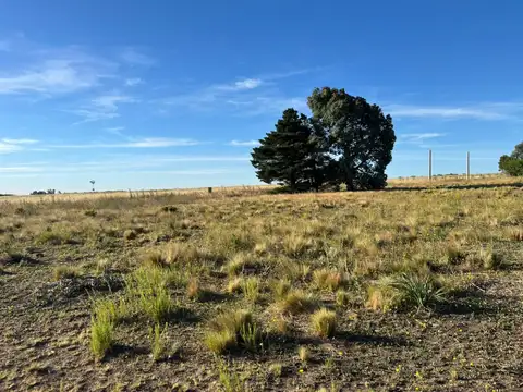 Terreno en Venta 40  mts Fondo