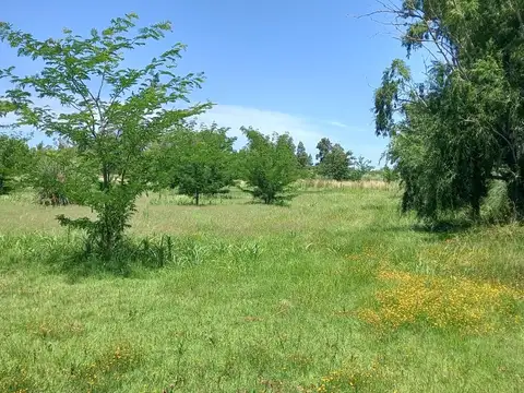 Terreno en Venta en Diego Gaynor, USD 30.000