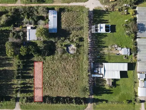 Lote Terreno en venta en La Plata, Lisandro Olmos 600m²