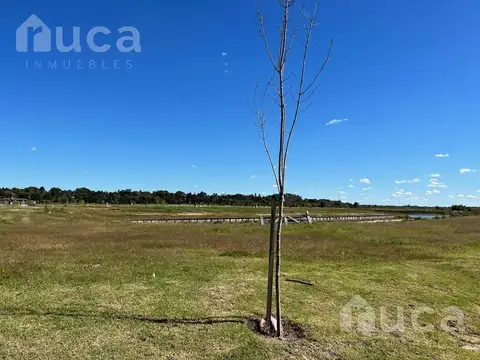 Terreno en Venta de 1006,0 m2