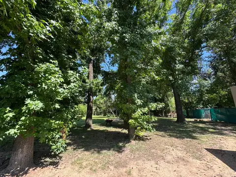 Barrio Los Zainos, Artigue 1300