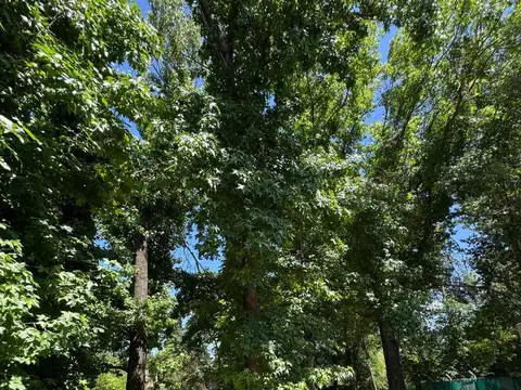 Terreno en Venta en Bella Vista, USD 155.000