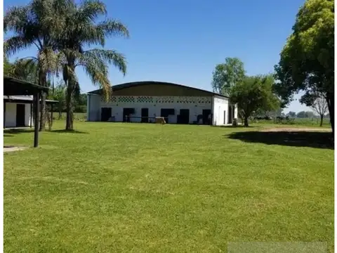 Haras Siglo Xxi 127