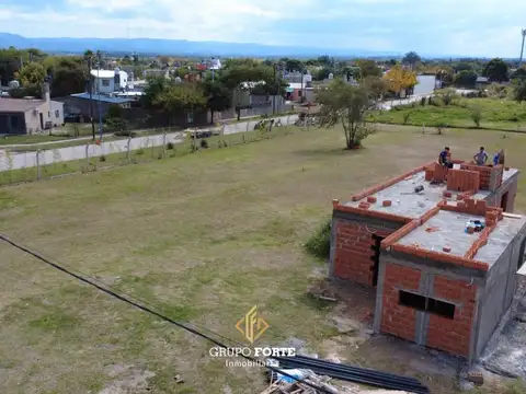 Argüello