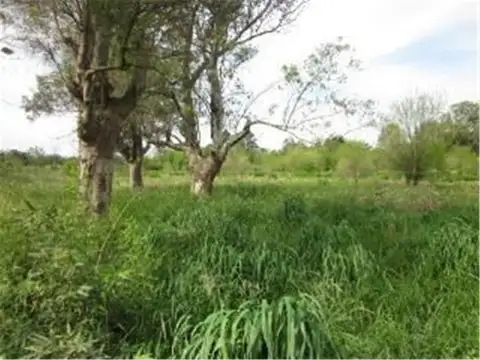 Terreno en Venta de 1195,0 m2