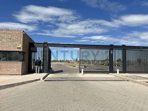 Venta de Lote en Lomas del Torreon, Maipú. Mendoza.